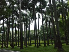 -荔香公园