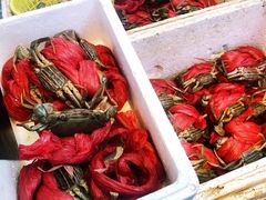 煎膏蟹-莲花公园煎蟹(总店)