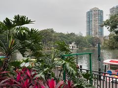 -晓港公园