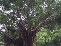 -太鲁阁公园