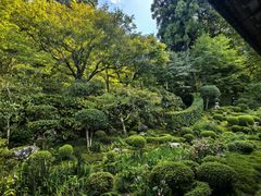 -三千院