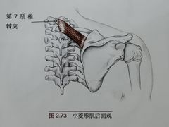 -美式FUN·健身馆