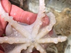 -山海经·海边人家 海鲜新青岛菜(扬州路店)