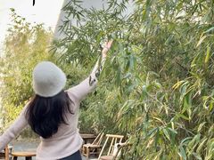 -南枝小馆(银鱼巷店)
