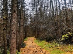 -秦岭风景区