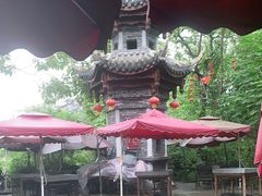 -三道苗苗鱼(三道堰老字号店)