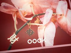 -OOAK设计师品牌概念店(新乐路店)