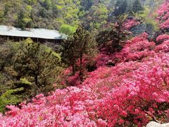-木兰云雾山