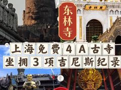 -上海东林寺(金山区)