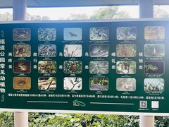 -福道