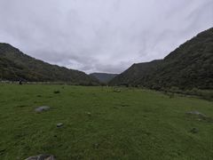 -狮子沟牧场
