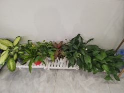 点击看大图 -菜菜美甲美睫皮肤管理