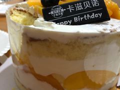 -卡滋贝诺动物奶油生日蛋糕(支塘工匠店)