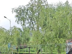 -怡得观滇餐厅·地道昆明菜·1996(海埂大坝店)