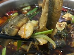 -邱氏胖泥鳅(大堰店)