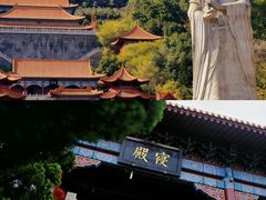 -大湾区中央湿地公园