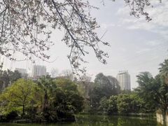 -南山植物园