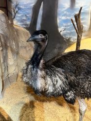 -酷嗒动物文化乐园(cutezoo西溪乐天城店)