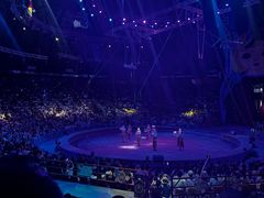 -俄罗斯国家大马戏团