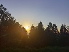 -重庆睡佛山森林公园