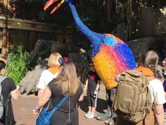 -奥兰多迪士尼动物王国乐园