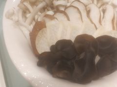 -龙福成肥牛火锅(文昌店)