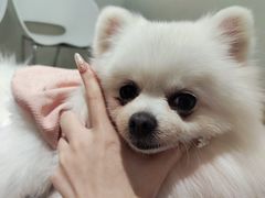 -怪兽屋·羊驼·猫咖·狗咖(俊华广场店)