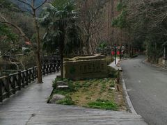 -宁海森林温泉