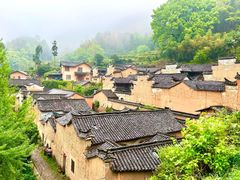 -杨家堂村