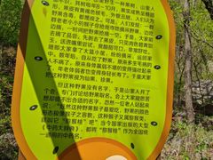 -大岭沟猕猴桃谷风景区