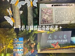 -成飞公园