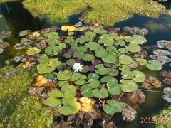 -南戴河国际娱乐中心