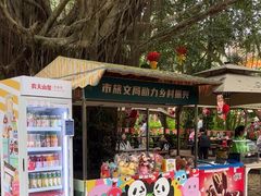 -海南热带野生动植物园
