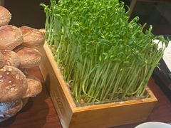 -捞王锅物料理(四川北路店)