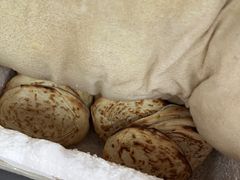 -宋老三苏肉羊肉汤老店