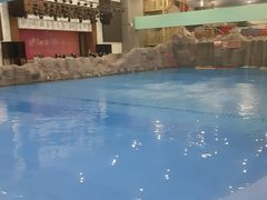-水王国温泉水世界