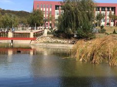 -哈尔滨工业大学(威海校区)
