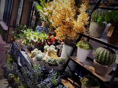 -范设计花园餐酒咖·中西餐·咖啡厅·酒馆