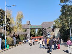 -溱湖国家湿地公园