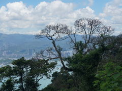 -太平山顶