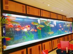 -弘安丽水温泉酒店