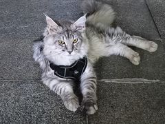 -怪噜范·贵阳小吃大排档(云上方舟店)