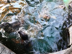 -华夏文旅海洋公园