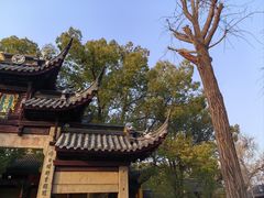 -西园戒幢律寺