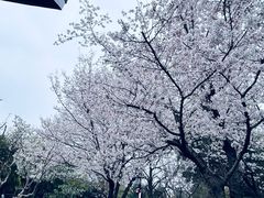 -堤角公园