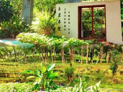 -广州市白云山风景名胜区