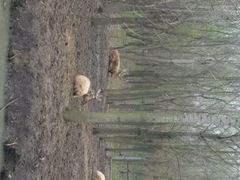 android_upload_pic-溱湖国家湿地公园