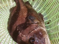 -醉壹号海鲜大排档·老厦门特色菜(厦门美食地标店)