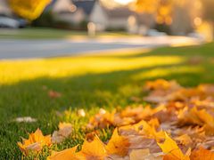 -悦品清远人家私房菜