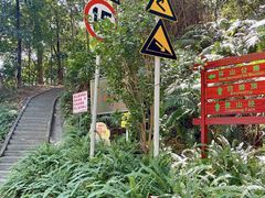 -火炉山森林公园